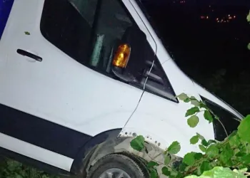 Kamyonet Fındık Bahçesi̇ne Yuvarlandı: 1 Yaralı