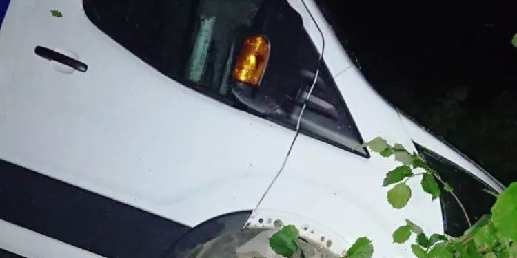 Kamyonet Fındık Bahçesi̇ne Yuvarlandı: 1 Yaralı