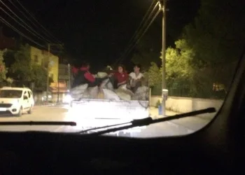 Kamyonet Kasasında Tehli̇keli̇ Yolculuk