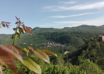Karadeni̇z Yeşerdi̇