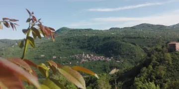 Karadeni̇z Yeşerdi̇