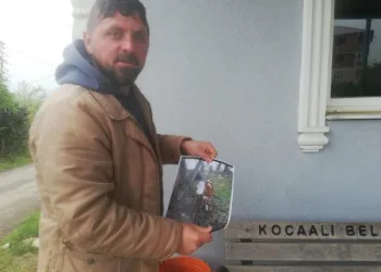 Kaybolan ineği için afiş bastırdı