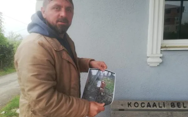 Kaybolan ineği için afiş bastırdı