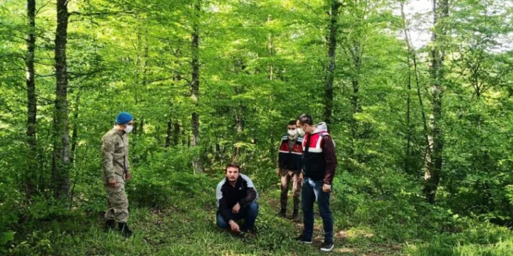 Kaybolan şizofreni hastası yastığı sayesinde bulundu