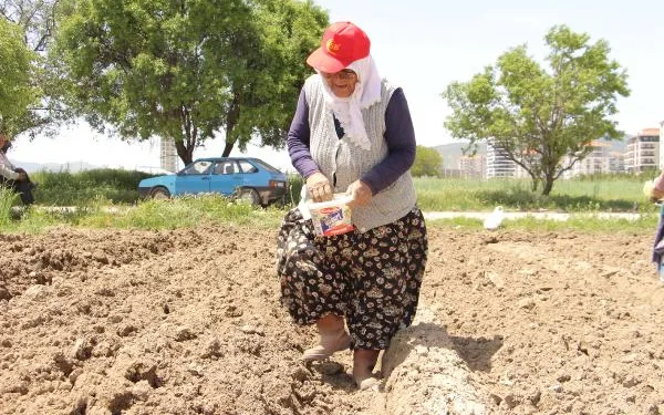 Keneye karşı ‘çıplak ayak kırsalda dolaşmayın’ uyarısı