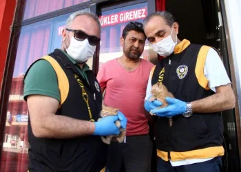 Kıraathanede mahsur kalan kedi ve 2 yavrusu kurtarıldı