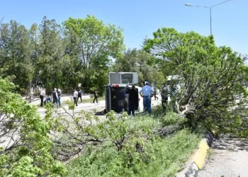 Ağaca çarpan yolcu minibüsü devrildi: 7 yaralı