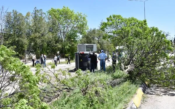 Ağaca çarpan yolcu minibüsü devrildi: 7 yaralı