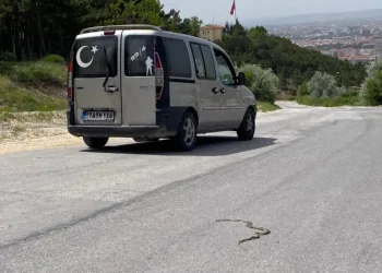 Kırsal Kesi̇mde Yılanlar Ortaya Çıktı