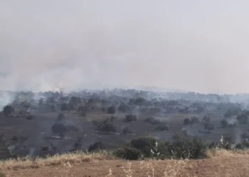 KKTC’de yangın 3 farklı bölgede devam ediyor