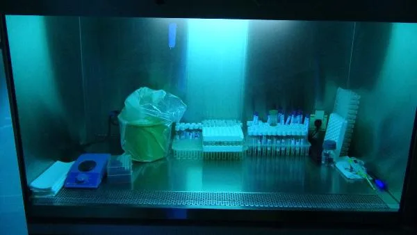 Koronavirüsle mücadelede ‘ultraviyole ışınlı temizlik’ uyarısı