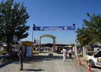 Kovi̇d-19 Tedbi̇rleri̇ Kapsamında Çeştepe, Nazi̇lli̇ Ve Çi̇ne Hayvan Pazarları Açıldı