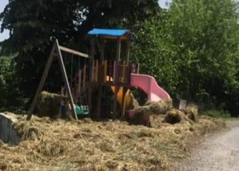 Köyde Park Var, Oynayacak Çocuk Yok