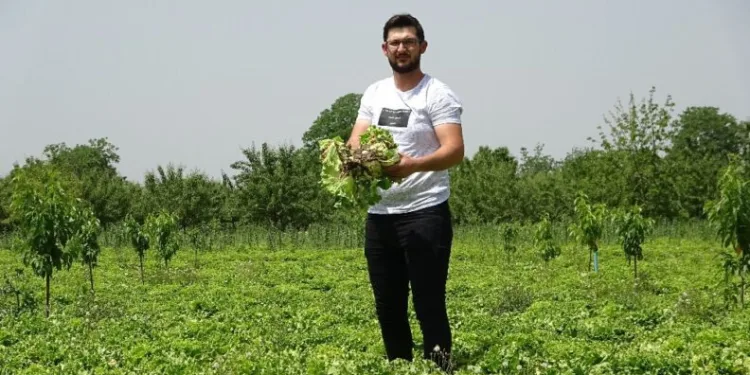 Bursa’da yasak köylünün marullarını çürüttü