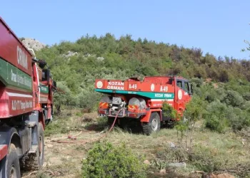 Kozan’daki orman yangını söndürüldü