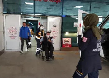 Kraliçe arıyı kovandan ayırmak isterken arıların saldırısına uğradı