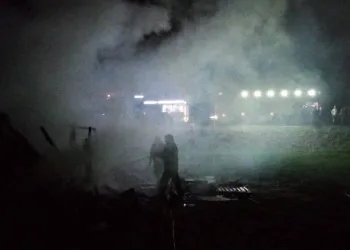 Bursa’daki yangında 30 hayvan öldü