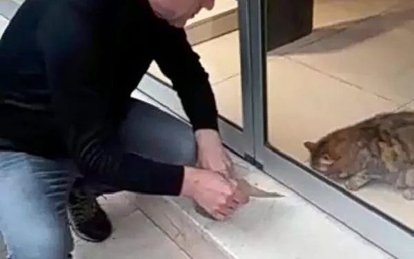 Mağazada mahsur kalan kediyi kapının altından besledi