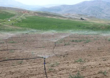 Malatyada Sulama İle 635 Mi̇lyon 347 Bi̇n Tl Kazanılacak