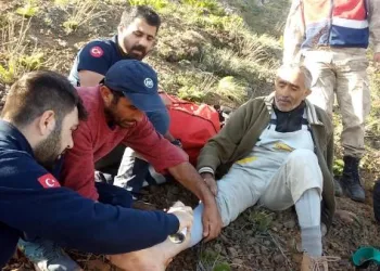 Mantar toplarken yaralanan köylü kurtarıldıktan sonra ceza uygulandı