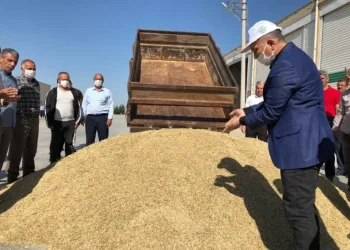 Mardi̇n’de sezonun ilk arpa hasadı yapıldı