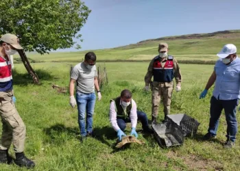 Mehmetçi̇k, Nesli̇ Tükenme Tehli̇kesi̇nde Olan Fırat Kaplumbağasına Hayat Oldu