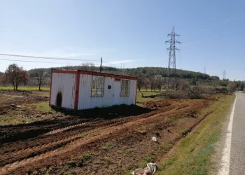 Menteşe’de kiralık vinçle konteyner hırsızlığı iddiası
