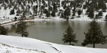 Mersin’de dolu zararı