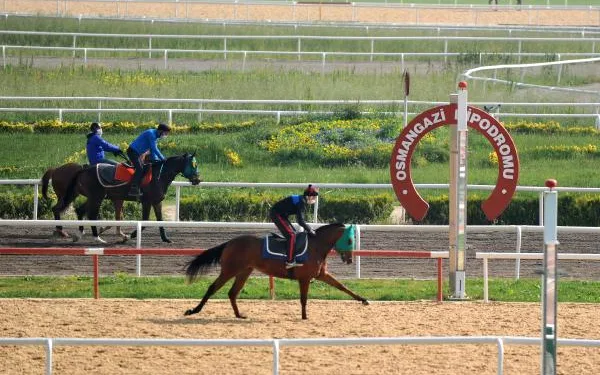 Bursa’da milyon liralık atlar, yarışların başlamasını bekliyor