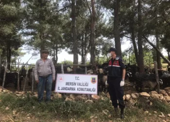 Mi̇safi̇r Etti̇ği̇ Komşusunun Hayvanlarını Çaldı