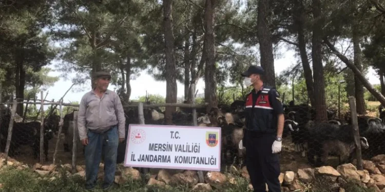 Mi̇safi̇r Etti̇ği̇ Komşusunun Hayvanlarını Çaldı