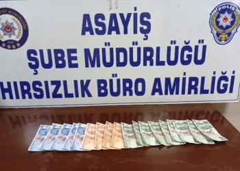 Muğladaki̇ Dolandırıcılık, Aydında Son Buldu