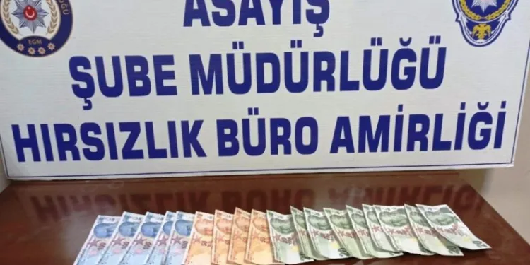 Muğladaki̇ Dolandırıcılık, Aydında Son Buldu