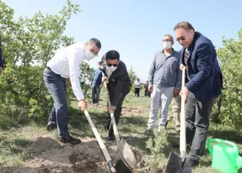 Nevşehi̇rde Yeni̇ Doğan Ve Vefat Edenler İçi̇n 600 Fi̇dan Di̇ki̇ldi̇