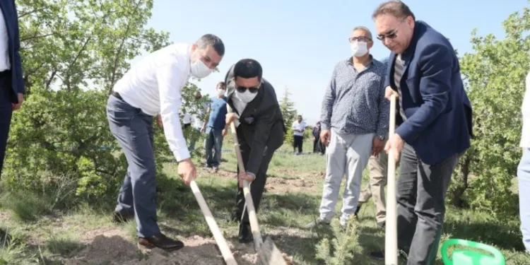 Nevşehi̇rde Yeni̇ Doğan Ve Vefat Edenler İçi̇n 600 Fi̇dan Di̇ki̇ldi̇