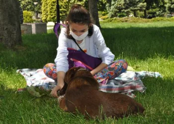 Ordu’da sokağa çıkan gençler, şarkı söyledi