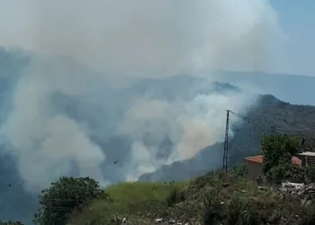 Ormanlık alandaki̇ yangın pani̇ğe neden oldu