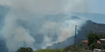 Ormanlık alandaki̇ yangın pani̇ğe neden oldu