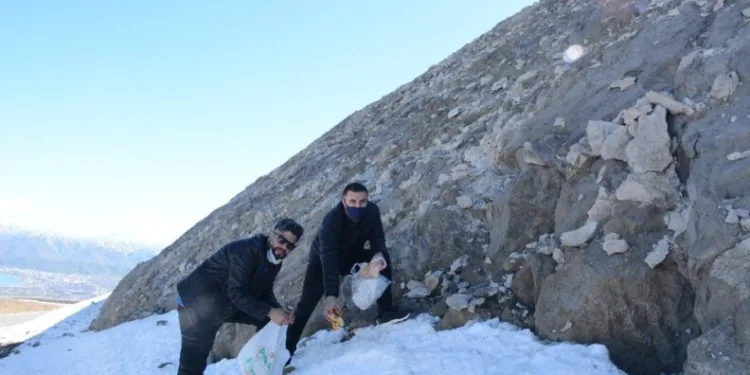 (Özel) Kış Uykusundan Uyanan Ayılar İçi̇n Nemrut Dağına Yi̇yecek Bırakıldı