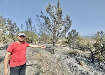 ÖZEL-KKTC’de yangın kontrol altında: Türkiye’den helikopter gönderilmesi ODTÜ Kuzey Kıbrıs’ın kül olmasını önledi
