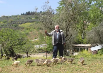 Bursa’da silah zoruyla ’20 milyon liralık’ imza