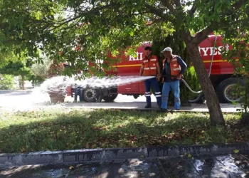 Parklar Bakımdan Geçi̇ri̇li̇yor