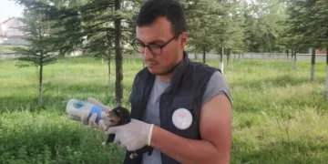 Poşete koyup ölüme terkettiler