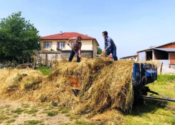 Sakarya’da çiftçiler üretime devam etti