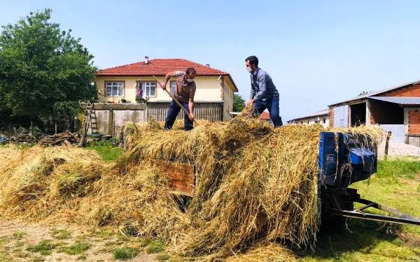 Sakarya’da çiftçiler üretime devam etti