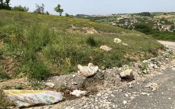 Sakarya’da, tavuk ölüleri yol kenarına atıldı