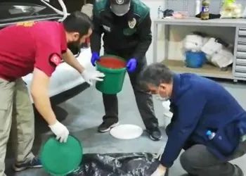 Salçanın içinden 20 bin 250 uyuşturucu hap çıktı
