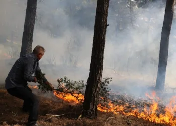 Son 15 günde Türkiye’de 45 orman yangını çıktı