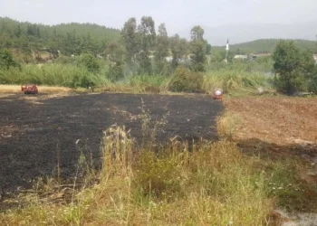Seydi̇kemerde 4 Dönüm Buğday Yandı