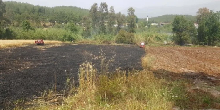 Seydi̇kemerde 4 Dönüm Buğday Yandı